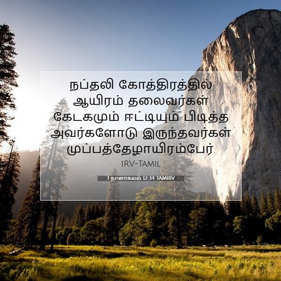 Picture 07 - 1 நாளாகமம் 12:34 TAMIRV - நப்தலி - Bible Verse Picture