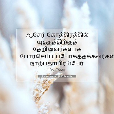 Picture 07 - 1 நாளாகமம் 12:36 TAMIRV - ஆசேர் - Bible Verse Picture
