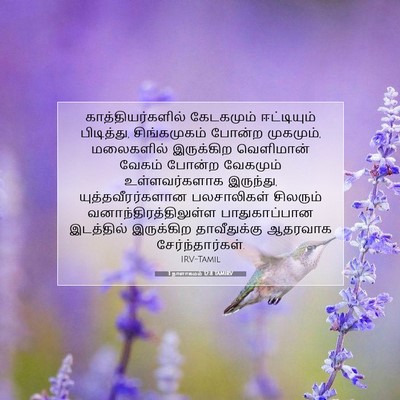 Picture 07 - 1 நாளாகமம் 12:8 TAMIRV - காத்தியர்களில் - Bible Verse Picture