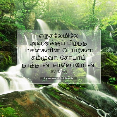Picture 07 - 1 நாளாகமம் 14:4 TAMIRV - எருசலேமிலே - Bible Verse Picture