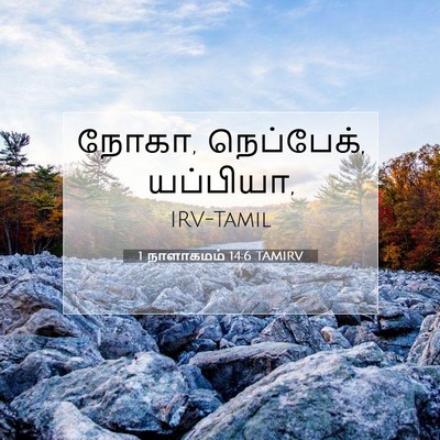 Picture 07 - 1 நாளாகமம் 14:6 TAMIRV - நோகா, நெப்பேக், - Bible Verse Picture