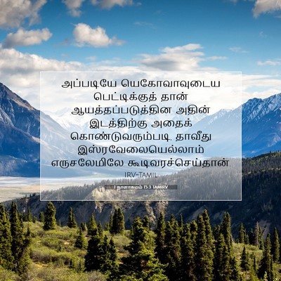 Picture 07 - 1 நாளாகமம் 15:3 TAMIRV - அப்படியே - Bible Verse Picture