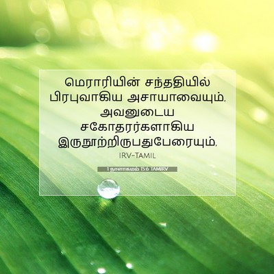 Picture 07 - 1 நாளாகமம் 15:6 TAMIRV - மெராரியின் - Bible Verse Picture