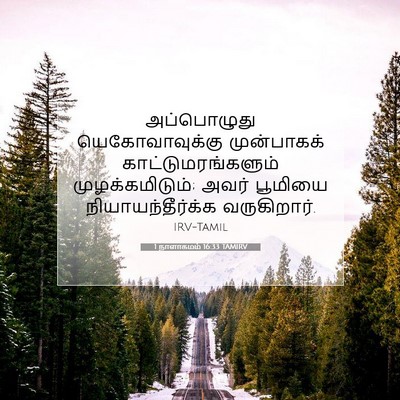 Picture 07 - 1 நாளாகமம் 16:33 TAMIRV - அப்பொழுது - Bible Verse Picture
