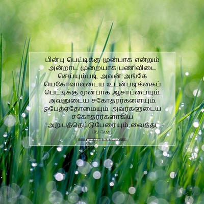 Picture 07 - 1 நாளாகமம் 16:37 TAMIRV - பின்பு பெட்டிக்கு - Bible Verse Picture