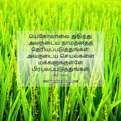 Picture 07 - 1 நாளாகமம் 16:8 TAMIRV - யெகோவாவை - Bible Verse Picture