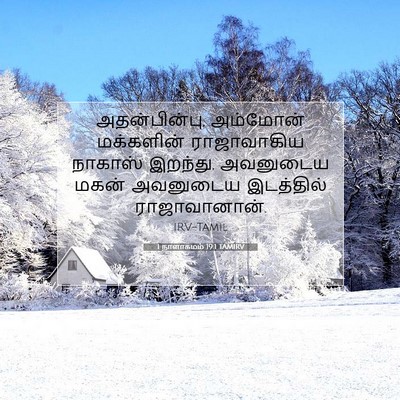 Picture 07 - 1 நாளாகமம் 19:1 TAMIRV - அதன்பின்பு, - Bible Verse Picture