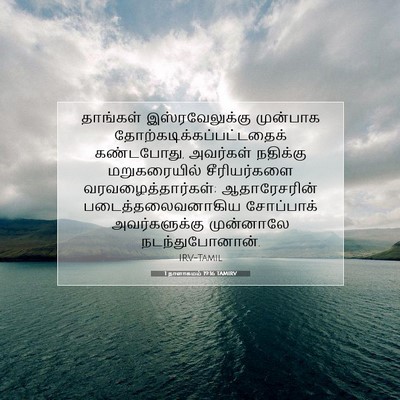 Picture 07 - 1 நாளாகமம் 19:16 TAMIRV - தாங்கள் - Bible Verse Picture
