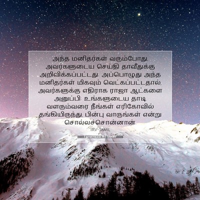 Picture 07 - 1 நாளாகமம் 19:5 TAMIRV - அந்த மனிதர்கள் - Bible Verse Picture