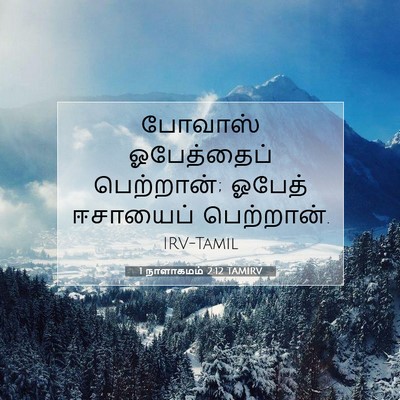 Picture 07 - 1 நாளாகமம் 2:12 TAMIRV - போவாஸ் ஓபேத்தைப் - Bible Verse Picture