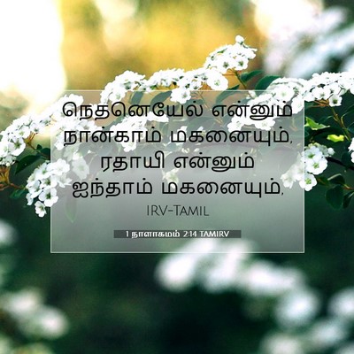 Picture 07 - 1 நாளாகமம் 2:14 TAMIRV - நெதனெயேல் என்னும் - Bible Verse Picture