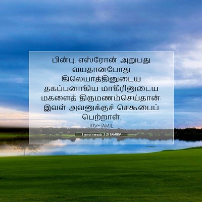 Picture 07 - 1 நாளாகமம் 2:21 TAMIRV - பின்பு, எஸ்ரோன் - Bible Verse Picture