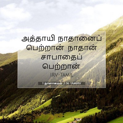 Picture 07 - 1 நாளாகமம் 2:36 TAMIRV - அத்தாயி நாதானைப் - Bible Verse Picture