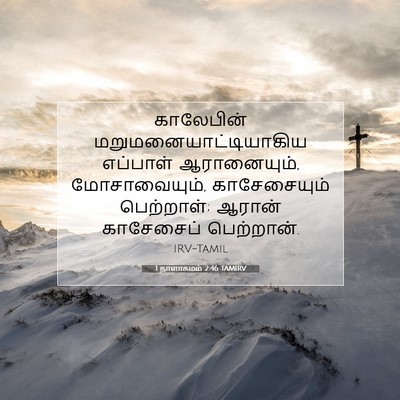 Picture 07 - 1 நாளாகமம் 2:46 TAMIRV - காலேபின் - Bible Verse Picture