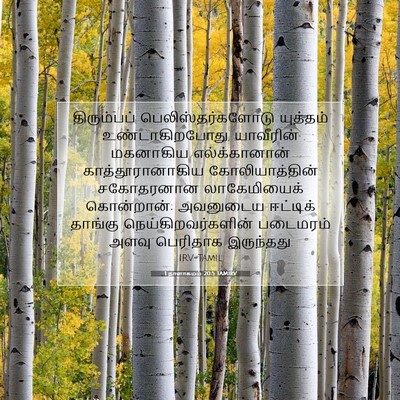 Picture 07 - 1 நாளாகமம் 20:5 TAMIRV - திரும்பப் - Bible Verse Picture