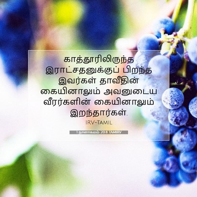 Picture 07 - 1 நாளாகமம் 20:8 TAMIRV - காத்தூரிலிருந்த - Bible Verse Picture