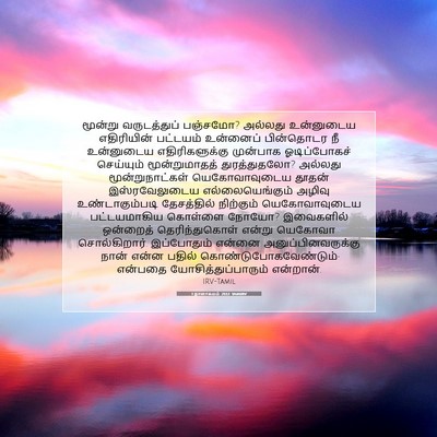 Picture 07 - 1 நாளாகமம் 21:12 TAMIRV - மூன்று வருடத்துப் - Bible Verse Picture