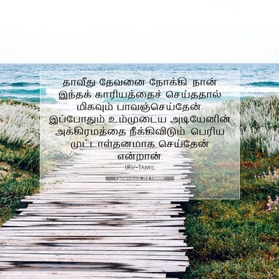 Picture 07 - 1 நாளாகமம் 21:8 TAMIRV - தாவீது தேவனை - Bible Verse Picture