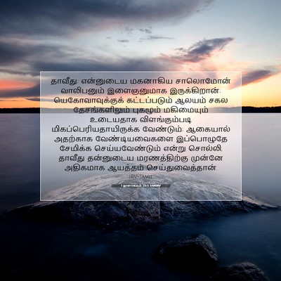 Picture 07 - 1 நாளாகமம் 22:5 TAMIRV - தாவீது: என்னுடைய - Bible Verse Picture
