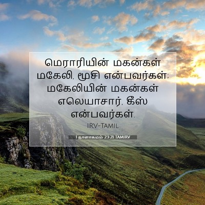 Picture 07 - 1 நாளாகமம் 23:21 TAMIRV - மெராரியின் - Bible Verse Picture