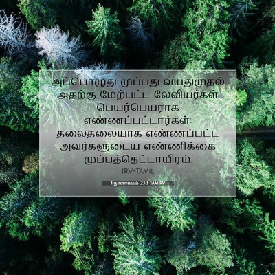 Picture 07 - 1 நாளாகமம் 23:3 TAMIRV - அப்பொழுது முப்பது - Bible Verse Picture