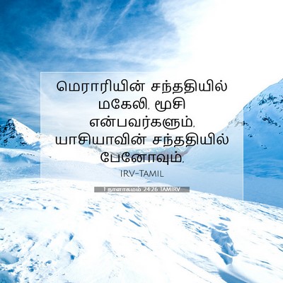 Picture 07 - 1 நாளாகமம் 24:26 TAMIRV - மெராரியின் - Bible Verse Picture