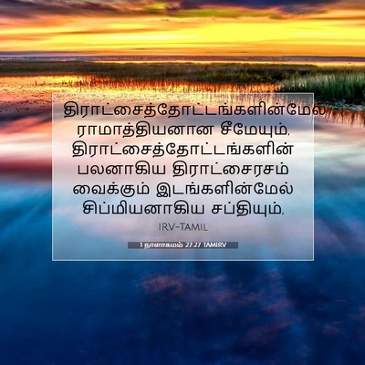 Picture 07 - 1 நாளாகமம் 27:27 TAMIRV -  - Bible Verse Picture