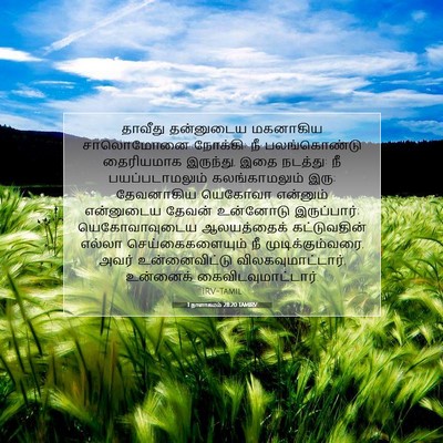 Picture 07 - 1 நாளாகமம் 28:20 TAMIRV - தாவீது தன்னுடைய - Bible Verse Picture
