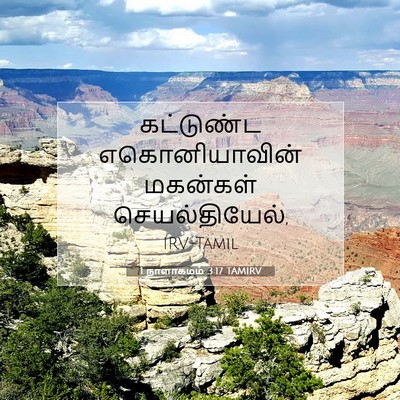 Picture 07 - 1 நாளாகமம் 3:17 TAMIRV - கட்டுண்ட - Bible Verse Picture