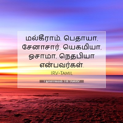 Picture 07 - 1 நாளாகமம் 3:18 TAMIRV - மல்கீராம், பெதாயா, - Bible Verse Picture