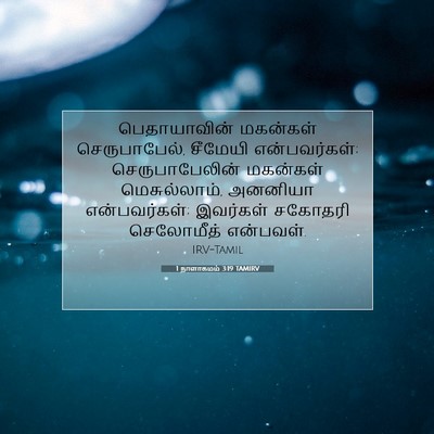 Picture 07 - 1 நாளாகமம் 3:19 TAMIRV - பெதாயாவின் - Bible Verse Picture