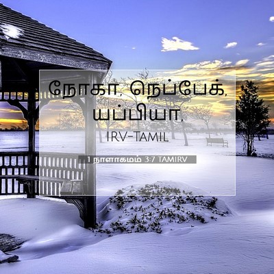 Picture 07 - 1 நாளாகமம் 3:7 TAMIRV - நோகா, நெப்பேக், - Bible Verse Picture
