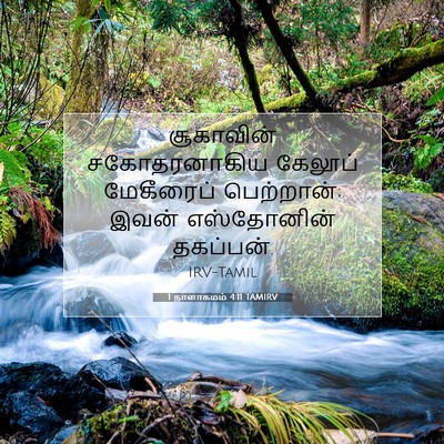 Picture 07 - 1 நாளாகமம் 4:11 TAMIRV - சூகாவின் - Bible Verse Picture