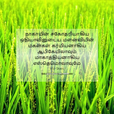 Picture 07 - 1 நாளாகமம் 4:19 TAMIRV - நாகாமின் - Bible Verse Picture
