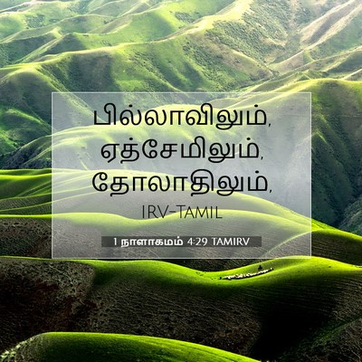 Picture 07 - 1 நாளாகமம் 4:29 TAMIRV - பில்லாவிலும், - Bible Verse Picture