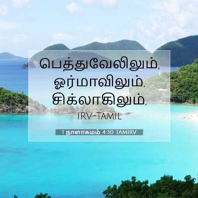 Picture 07 - 1 நாளாகமம் 4:30 TAMIRV - பெத்துவேலிலும், - Bible Verse Picture