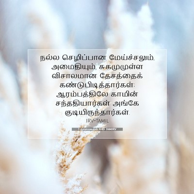 Picture 07 - 1 நாளாகமம் 4:40 TAMIRV - நல்ல செழிப்பான - Bible Verse Picture