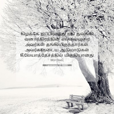 Picture 07 - 1 நாளாகமம் 5:9 TAMIRV - கிழக்கே - Bible Verse Picture