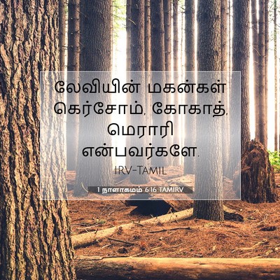 Picture 07 - 1 நாளாகமம் 6:16 TAMIRV - லேவியின் மகன்கள் - Bible Verse Picture