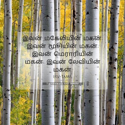 Picture 07 - 1 நாளாகமம் 6:47 TAMIRV - இவன் மகேலியின் - Bible Verse Picture