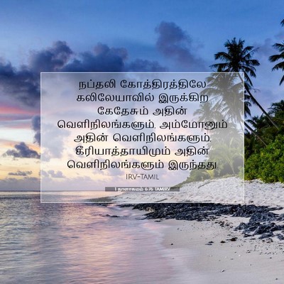 Picture 07 - 1 நாளாகமம் 6:76 TAMIRV - நப்தலி - Bible Verse Picture
