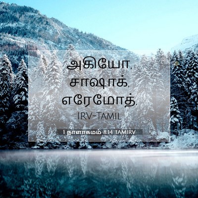Picture 07 - 1 நாளாகமம் 8:14 TAMIRV - அகியோ, சாஷாக், - Bible Verse Picture