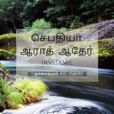 Picture 07 - 1 நாளாகமம் 8:15 TAMIRV - செபதியா, ஆராத், - Bible Verse Picture
