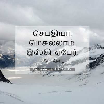 Picture 07 - 1 நாளாகமம் 8:17 TAMIRV - செபதியா, - Bible Verse Picture
