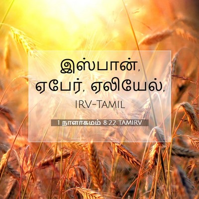 Picture 07 - 1 நாளாகமம் 8:22 TAMIRV - இஸ்பான், ஏபேர், - Bible Verse Picture