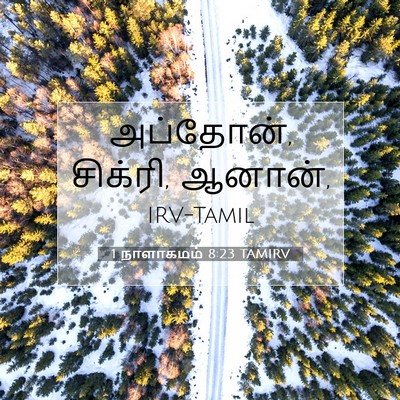 Picture 07 - 1 நாளாகமம் 8:23 TAMIRV - அப்தோன், சிக்ரி, - Bible Verse Picture