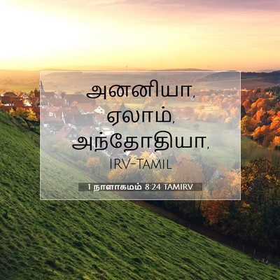 Picture 07 - 1 நாளாகமம் 8:24 TAMIRV - அனனியா, ஏலாம், - Bible Verse Picture