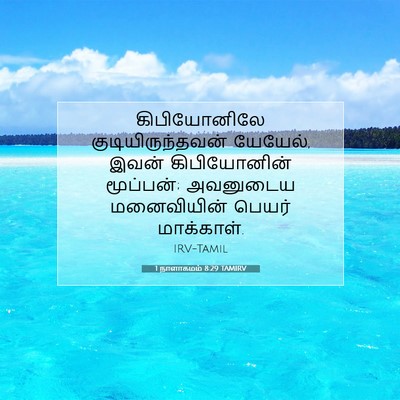 Picture 07 - 1 நாளாகமம் 8:29 TAMIRV - கிபியோனிலே - Bible Verse Picture