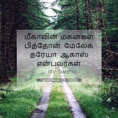 Picture 07 - 1 நாளாகமம் 8:35 TAMIRV - மீகாவின் மகன்கள் - Bible Verse Picture