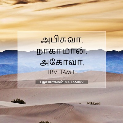 Picture 07 - 1 நாளாகமம் 8:4 TAMIRV - அபிசுவா, நாகாமான், - Bible Verse Picture